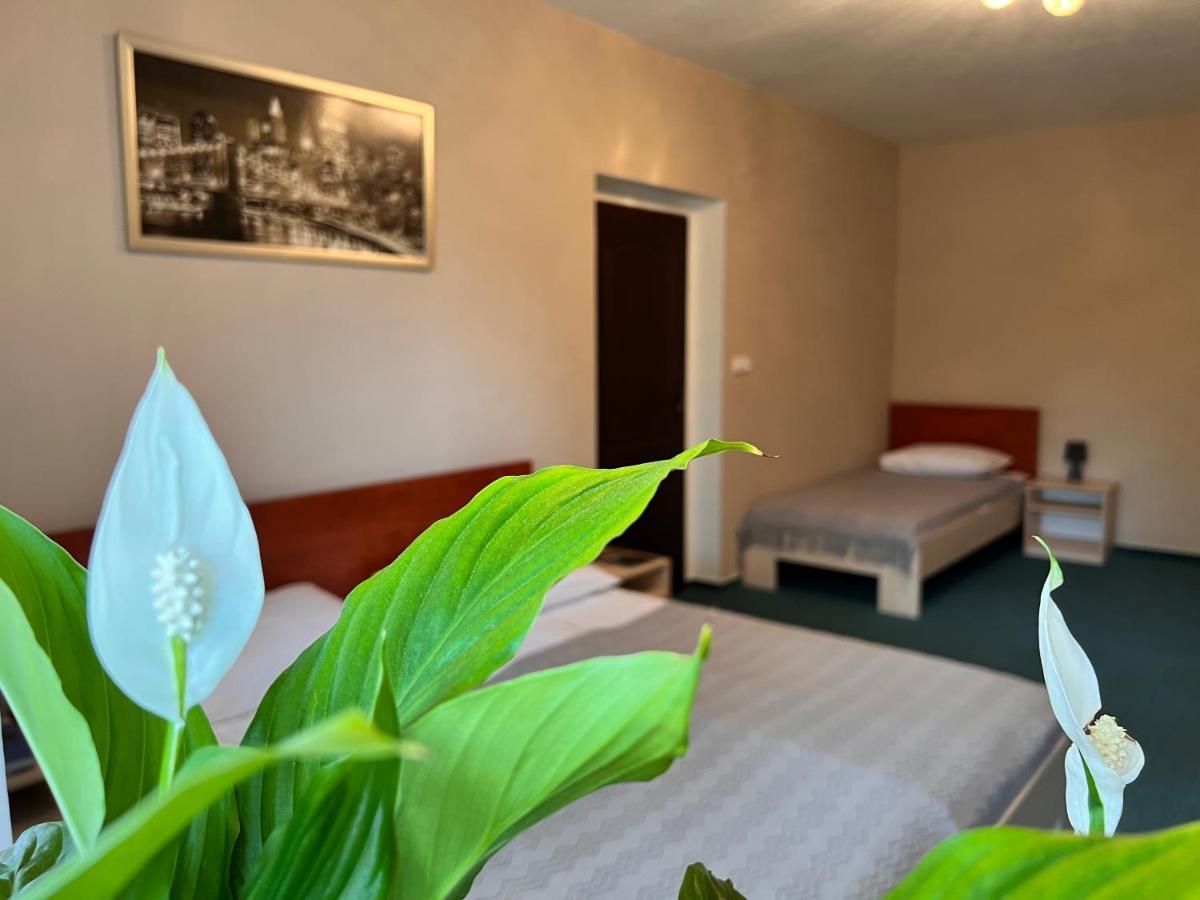 Hotel Marislav Cesnovice Екстер'єр фото
