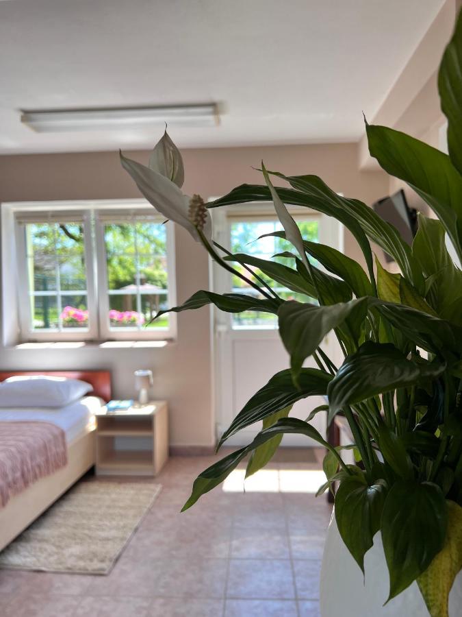 Hotel Marislav Cesnovice Екстер'єр фото
