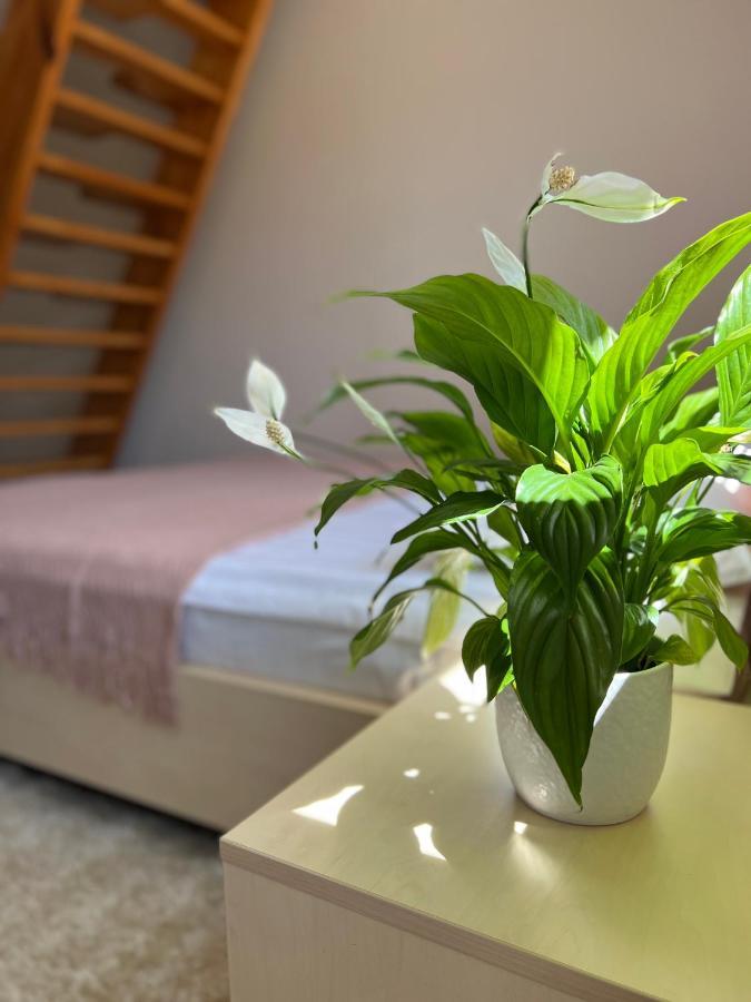 Hotel Marislav Cesnovice Екстер'єр фото