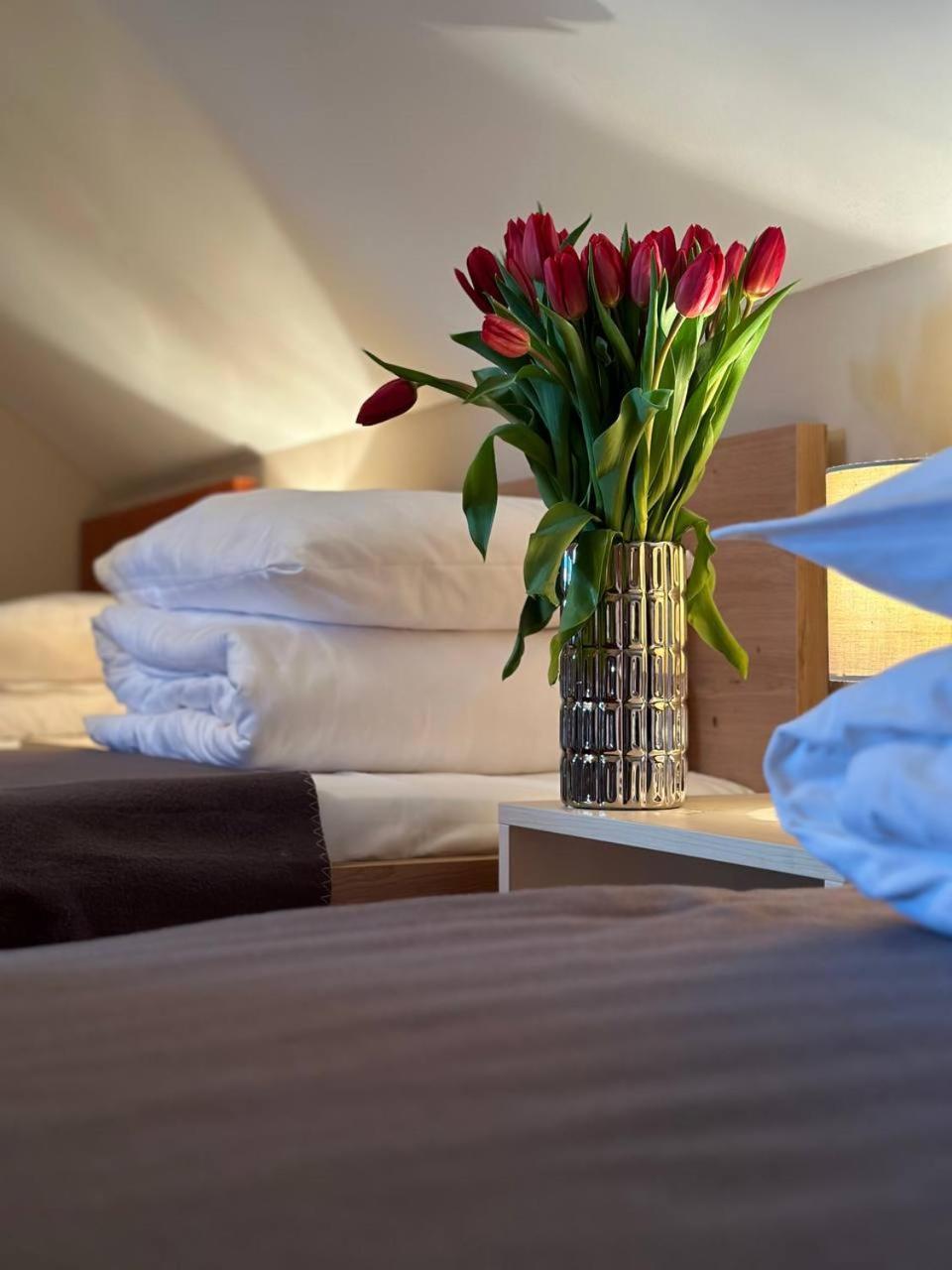 Hotel Marislav Cesnovice Екстер'єр фото